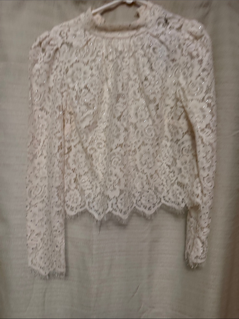 White House Black Market Ivory Sequin Lace Blouse